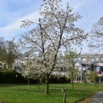 DSC_1761.jpeg